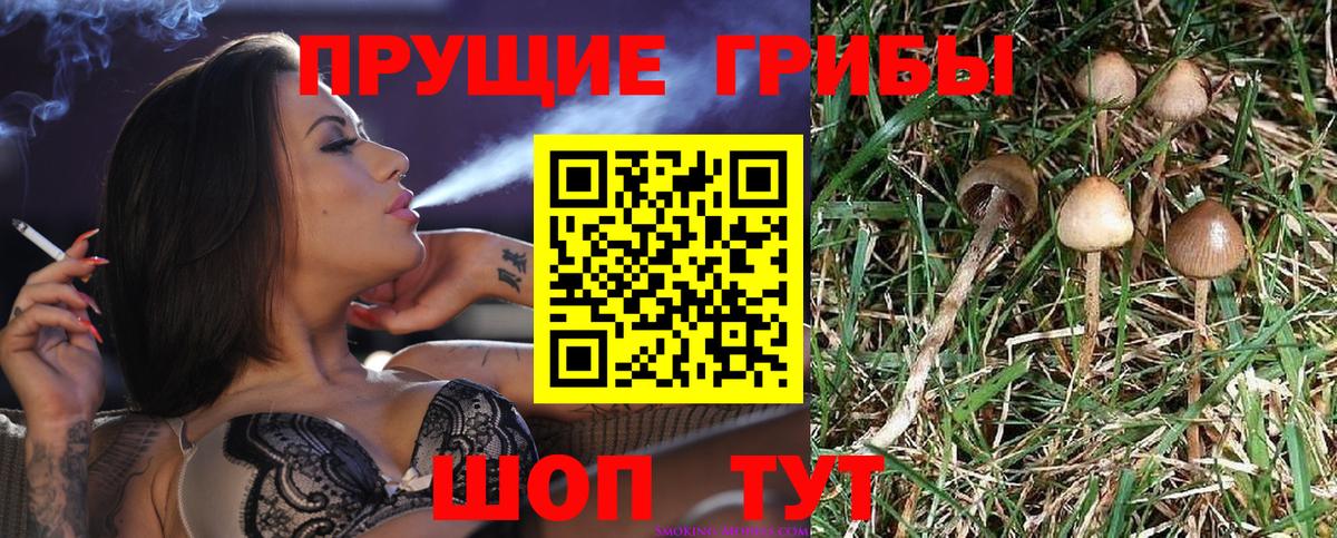 Ишимбай  Псилоцибиновые грибы мухоморы  закладки  Вход с VPN 